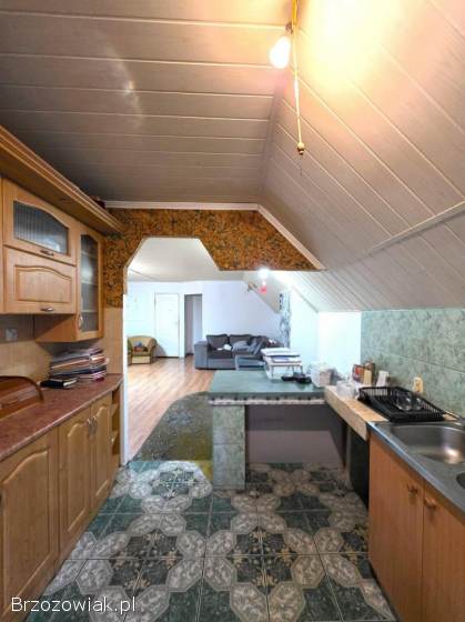 Dom/inwestycja w Rakowej