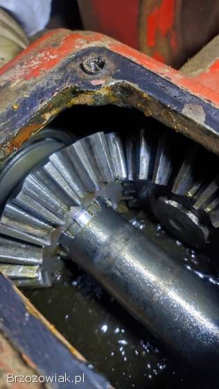 Przekładnia kątowa 1:1