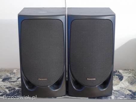 Kolumny Panasonic SB-CH80 mocne i sprawne.  DOSTAWA.