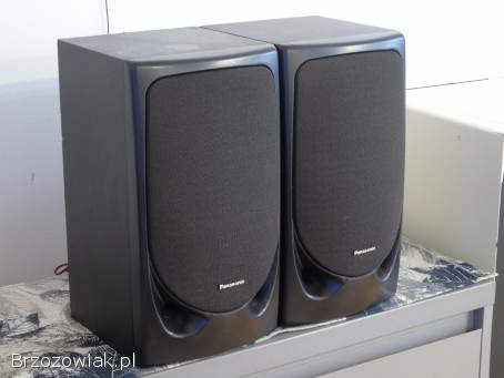 Kolumny Panasonic SB-CH80 mocne i sprawne.  DOSTAWA.