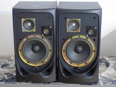 Kolumny Panasonic SB-CH80 mocne i sprawne.  DOSTAWA.