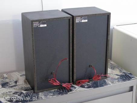 Kolumny Panasonic SB-CH80 mocne i sprawne.  DOSTAWA.