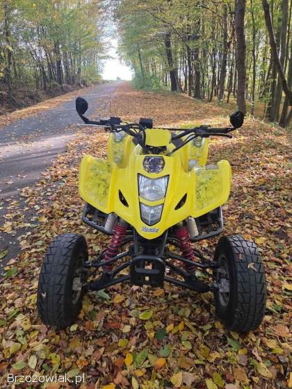 2006 Suzuki ltz 400 quad