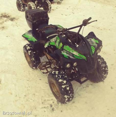 Quad 125 cc