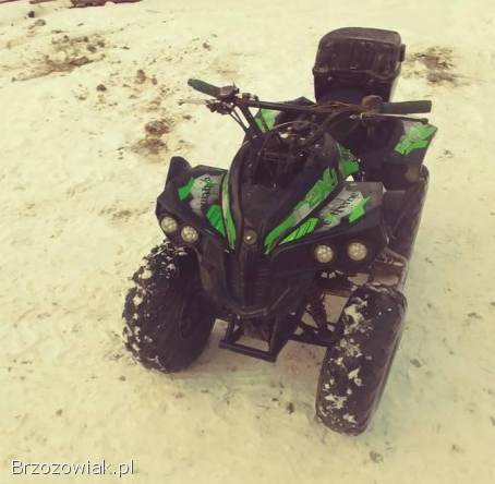 Quad 125 cc