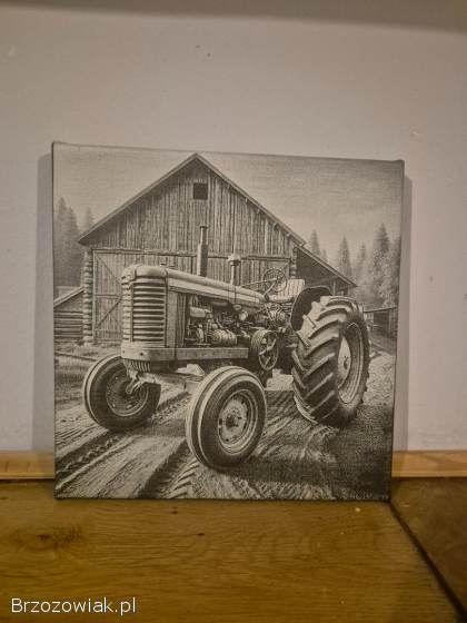 Obrazy na płótnie różne wymiary oraz motywy