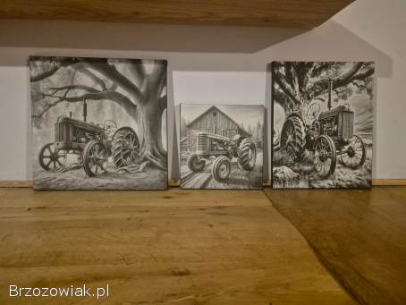 Obrazy na płótnie różne wymiary oraz motywy