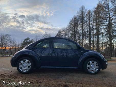 Volkswagen New Beetle New Beetel  1999