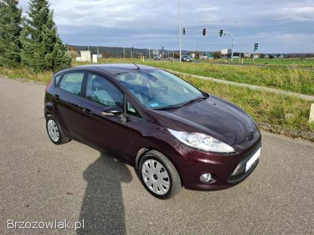 Ford Fiesta MK7 Klima 5D  2010