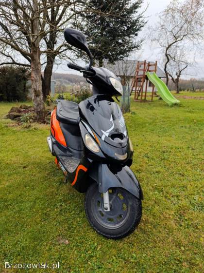 Toros el Diablo 2012