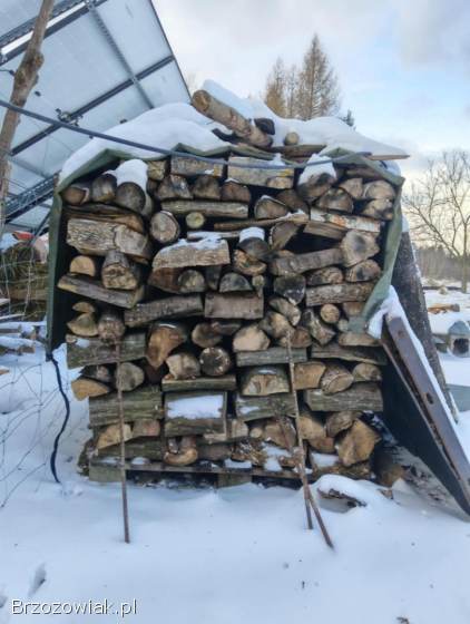 Drewno opałowe