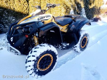 Can am Renegade 1000