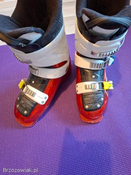 Zestaw narciarski Nordica