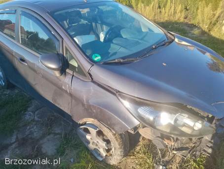 Ford Fiesta MK7 2010