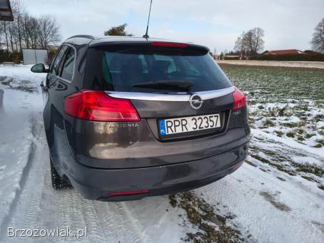 Opel Insignia 2013