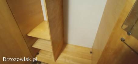 Szafa dwudrzwiowa z połyskiem styl Retro