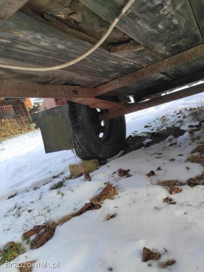 Przyczepka,  przyczepa samochodowa SAM zarejestrowana,  ubezpieczona