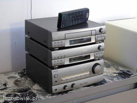 Wieża Sony segmenty mocna i sprawna pilot.  DOSTAWA.