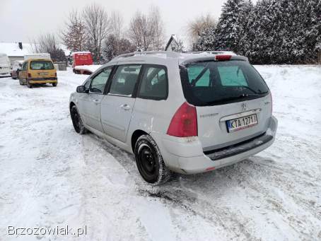 Peugeot 307 1.  6 02r 2002
