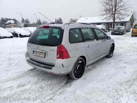 Peugeot 307 1.  6 02r 2002