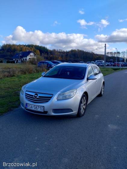 Opel Insignia Sports Tourer  2010