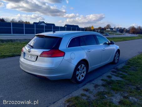 Opel Insignia Sports Tourer  2010