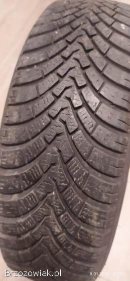 Opony zimowe Eurowinter