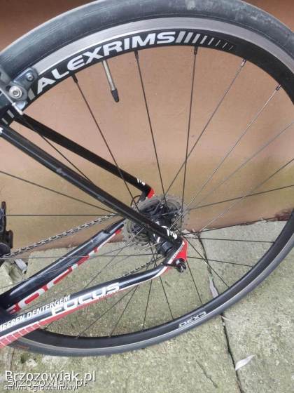 Rower szosowy Focus Izalco Team roz.  L