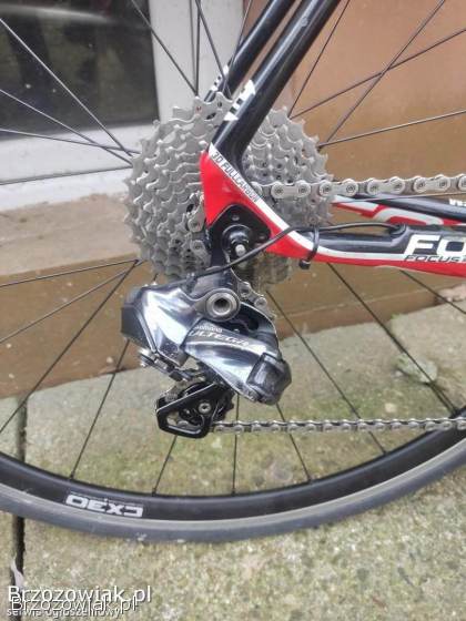 Rower szosowy Focus Izalco Team roz.  L