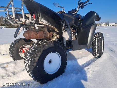 Quad ADLY Kymco 320 S Homologacja