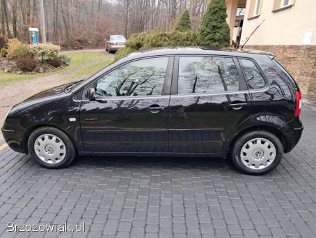 Volkswagen Polo 2004