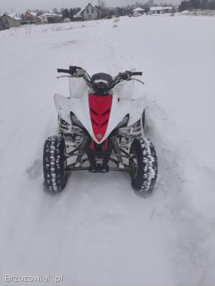 Yamaha Raptor 350