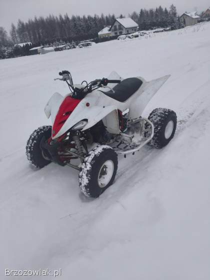Yamaha Raptor 350