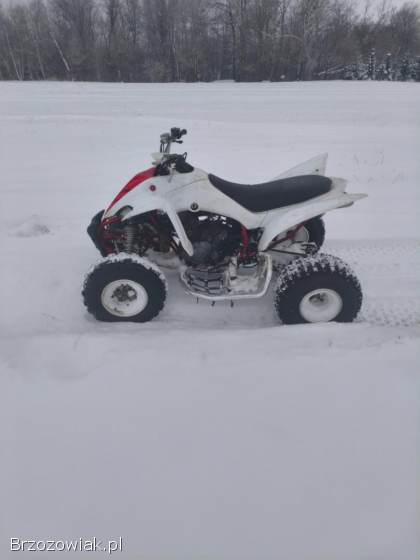 Yamaha Raptor 350