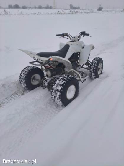 Yamaha Raptor 350