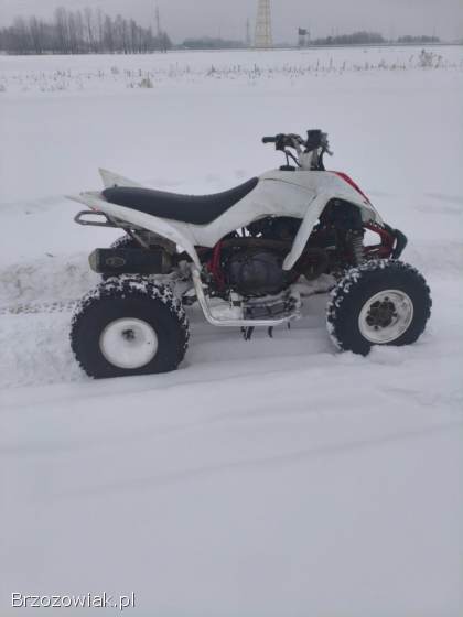 Yamaha Raptor 350