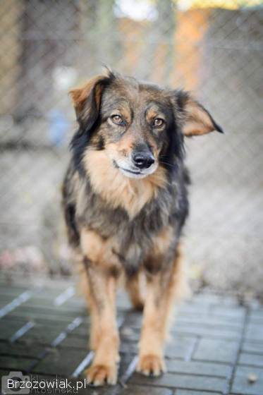 Wyjątkowy Robin szuka wyjątkowego domu