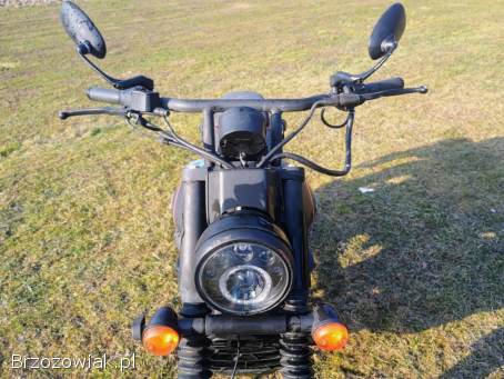 UM Renegade Sport 2019