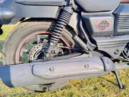 UM Renegade Sport 2019