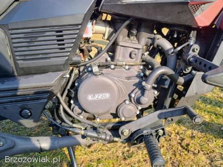 UM Renegade Sport 2019