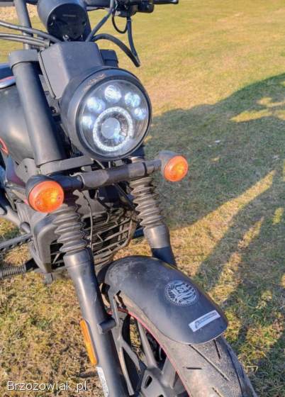 UM Renegade Sport 2019