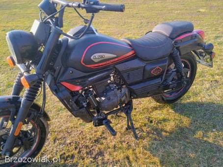 UM Renegade Sport 2019