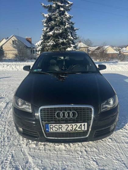 Audi A3 8P 2007