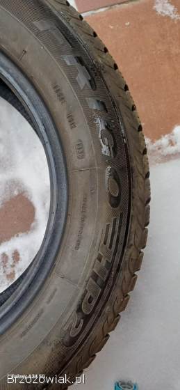 Frigo HP2 195/65 R15