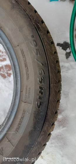 Frigo HP2 195/65 R15