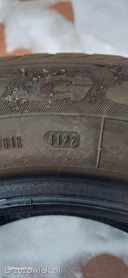 Frigo HP2 195/65 R15