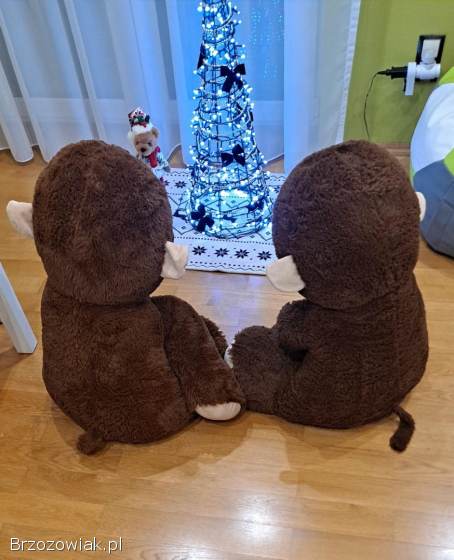 Małpki pluszowe