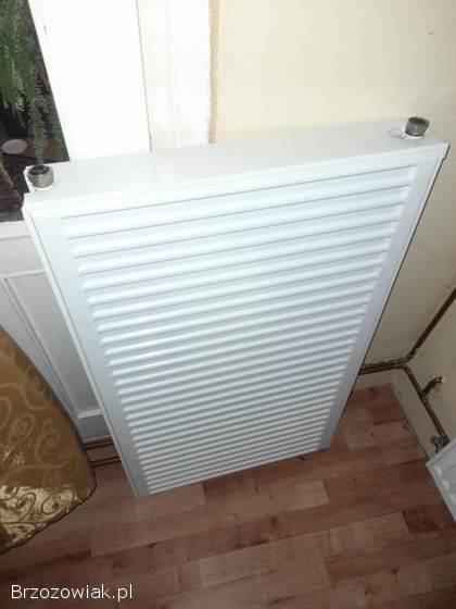 Grzejnik panelowy 600×1000