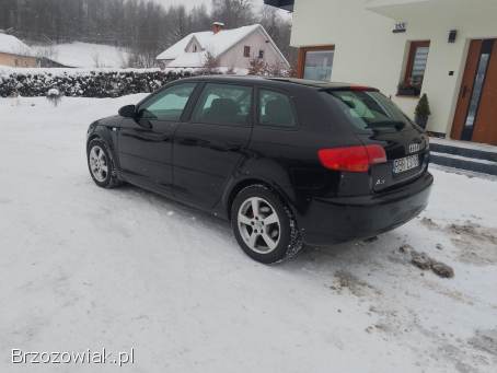 Audi A3 8P 2008