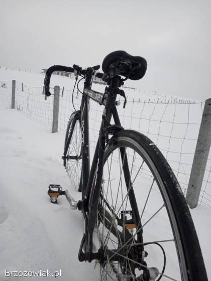 Rower Kolarka